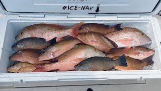 Super Secret Snapper Spot  Grocery Shopping Island Style  Raw Uncut Dives  CCC [upl. by Ytsrik]