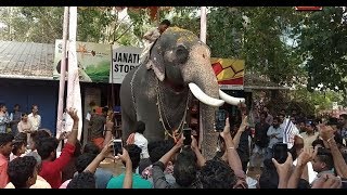 കാളി  കേരളത്തിൻറെ അഭിമാനം ബാഹുബലി  ചിറക്കൽ കാളിദാസൻ  CHIRAKKAL KALIDASAN [upl. by Huggins767]