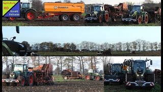 Schorseneren rooien in Raalte met meerdere fendt trekkers en nieuwe Jan Veenhuis Kipper Gubbels Agr [upl. by Lerrud]