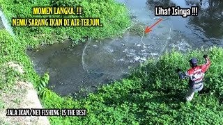 JALA IKAN DI SAMPING AIR TERJUN CUMA 14 MENIT 30 KG [upl. by Kristel287]