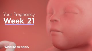 21 Weeks Pregnant  What to Expect [upl. by Amo]