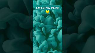 AMAZING PARIS travel travel vlog  trip out songstravellers resttraveller shorts youtubeshorts [upl. by Enerehs]