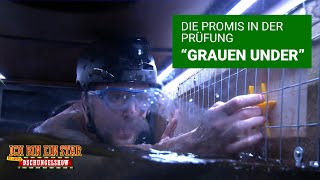 Prüfung Tag 11  quotGrauen Underquot  Die große Dschungelshow 2021 [upl. by Landon]