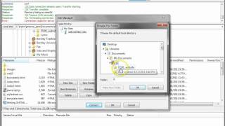 FileZilla Configuration [upl. by Ayimat]