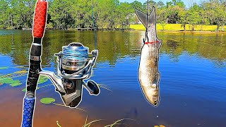 BIG Bait Catches The SWAMP MONSTER SCARY [upl. by Joaquin]