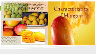 Types of Mangoes and its characteristic II Marife Adonis Official [upl. by Hershel788]