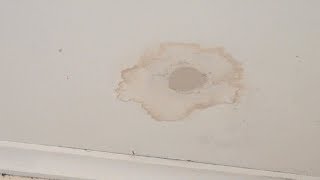 How to stop water stains from bleeding through paint  How to hide water stains alternative [upl. by Arocet923]