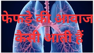 breathing sound  breath sound auscultation breath sound kaisa hota hai  complete breath sound🔊 [upl. by Gintz]