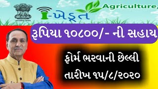 ikhedutportalgovin2020  khedut sahay yojana 2020  khedut yojana in Gujarat દેશી ગાય ખેતી [upl. by Spanos]