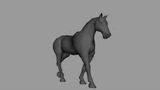 Horse Walk  Trot  Canter Animation [upl. by Divod481]