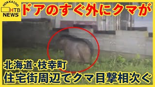 「とりあえずやばいと」ゆっくりと家の前を…住宅街に体長約２ｍのクマ 目撃相次ぐ枝幸町 箱わな設置へ [upl. by Verras]