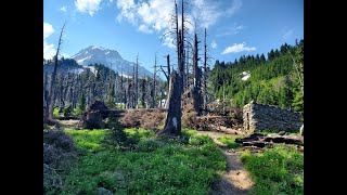 Timberline Trail Day Hike  Around Mt Hood  41 Miles [upl. by Breana]