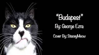 quotBudapestquot Cover By StaceyMeow [upl. by Lyret]