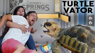 TURTLE in the ELEVATOR Bad Idea Disney Springs in Quarantine FV Family Beach Vlog [upl. by Krishnah]