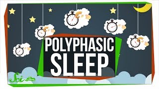 What Do Scientists Really Know About Polyphasic Sleep [upl. by Uoliram919]