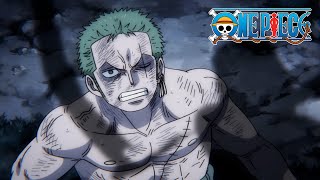 Death Comes for Zoro  One Piece [upl. by Myrah]