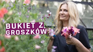 Groszek pachnący  zbieramy kwiaty z ogrodu na bukiety [upl. by Shaylynn]