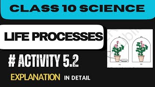 Activity 52  Class 10 Science  Chapter 5  Life Processes  Explanation in detail [upl. by Ayin]