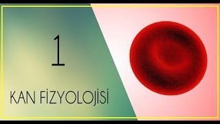 FİZYOLOJİ DERS NOTLARI3PART 1Kan nedirkandaki şekilli elementlerplazma ve serum [upl. by Attena796]