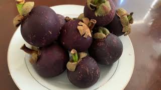 How to eat and cut open mangosteen fruit [upl. by Anailuj]