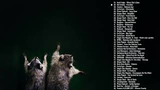 A Funky AltIndie Playlist with a picture of racoons [upl. by Brodench]