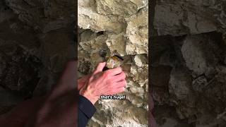 Finding a Large Pyrite Crystal 😲 [upl. by Notsirt539]