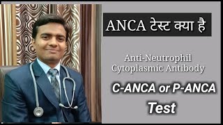 Anca test in hindi  C Anca Test  A anca Test  AntiNeutrophil Cytoplasmic Antibodies In Hindi [upl. by Einahc691]