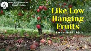 FRIDAY VESPERS LIKE LOW HANGING FRUITS ELD TUVAKO MBECHE [upl. by Orfinger]