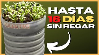 🌱 MACETA con AUTORRIEGO con BOTELLAS de PLÁSTICO RECICLADAS 💧 [upl. by Asilav]