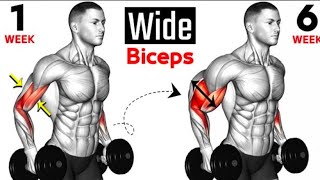 Best Exercises Bicep  Full Bicep Curls  Short Heat  Long Head  Brachialis 🏠At Home🏠 [upl. by Lamag]