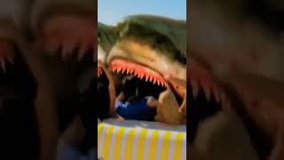 5 Headed Shark Attack ytshorts [upl. by Mela465]