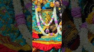 adharam madhuram vrindavan radhavallabh shortsfeed [upl. by Athiste]