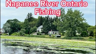 Napanee River Ontario Fishing [upl. by Animehliw950]