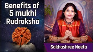 5 mukhi Rudraksha For Students  Enhance your Intellect amp Immunity  Panchmukhi Rudraksha [upl. by Suiramaj]