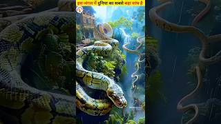 The UNBELIEVABLE Mysteries of the Amazon Jungle facts amazing amazon thefactsfive [upl. by Enytsirhc]