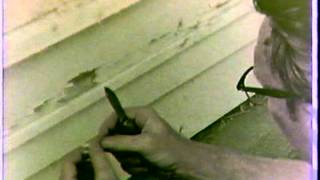 Lead Paint Poisoning 1972 National Bureau of Standards [upl. by Anwahsat978]