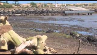 Tsunami Footage  Kahului Harbor Maui  Friday March 11 2011 by Wendy Osher [upl. by Nnylrahc]