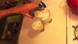 Tequila Sour  Receta [upl. by Anaerda]