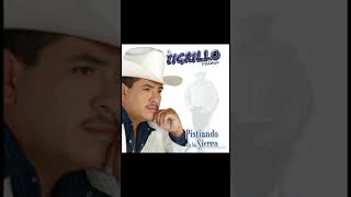 El tigrillo palma corridos y canciones mix [upl. by Gershom779]