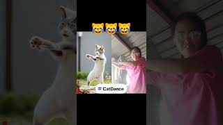 Cat Dance motorcycle dance speed up 😹😹😹 GoingSouth CatDance MotorcycleDanceSpeedUp fypシ゚ [upl. by Oihsoy414]