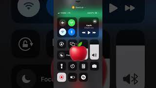 Apple by Charli xcx cover foryou fyp apple brat trending viralvideo [upl. by Iahk]