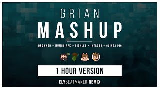 Grian  Mashup elybeatmaker Remix Compilation 1 HOUR VERSION [upl. by Peters]