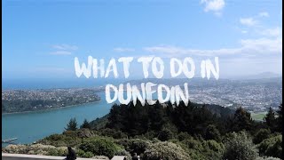 TOP THINGS TO DO IN DUNEDIN NZ [upl. by Antoinetta]