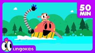 ACTION SONGS FOR KIDS 🙌🎶 Nursery Rhymes  Lingokids [upl. by Marron]