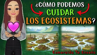 Acciones Para Cuidar los Ecosistemas [upl. by Yruok904]