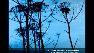 Carbon Based Lifeforms  Hydroponic Garden Full Reissued Album [upl. by Sheela250]