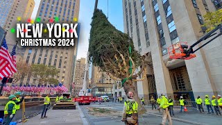 Installation Of NYC Rockefeller Center Christmas Tree 2024 ✨ New York City Christmas 2024 🌲 [upl. by Alver]