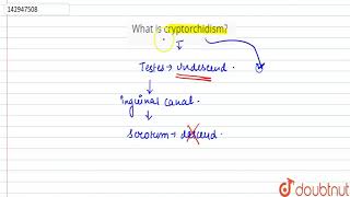 What is cryptorchidism [upl. by Akerdnuhs13]