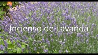 Cómo hacer INCIENSO de LAVANDA Tutorial [upl. by Phenice146]