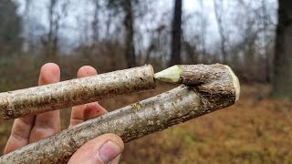 I made my first Primitive Atlatl from scratch [upl. by Lavotsirc]